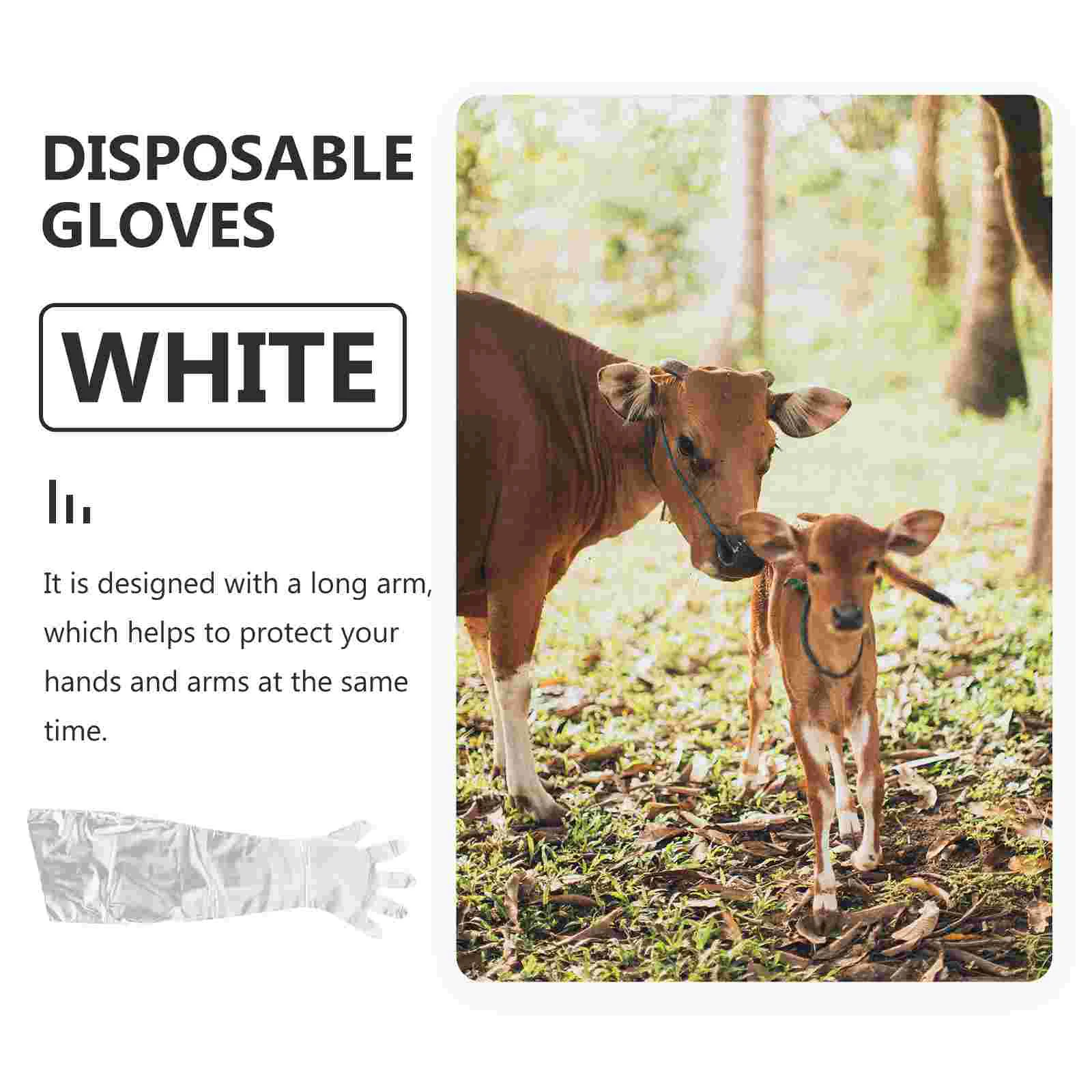 50 Pcs Long Glove Veterinary Delivery Gloves Cleaning Field Dressing Pe Sleeve Cattle Delivering