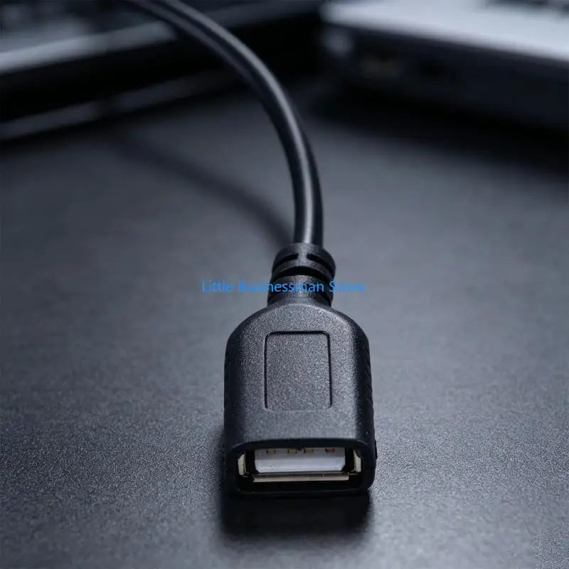 Voltages Converters Cable with 60 Male Input and 5 V USB-A Female Port M76A