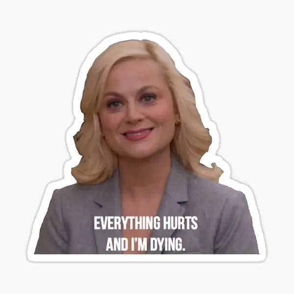 Leslie Knope Everything Hurts And I Am D  5PCS Stickers for Decorations Anime Kid Wall Stickers Bumper Laptop Luggage