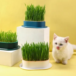 Pet Cat Grass Potted Hydroponic Plant Digestion Growing Tray Greenhouse Snack To Hair Ball Cleaning Stomach Grass Pot Grow Box