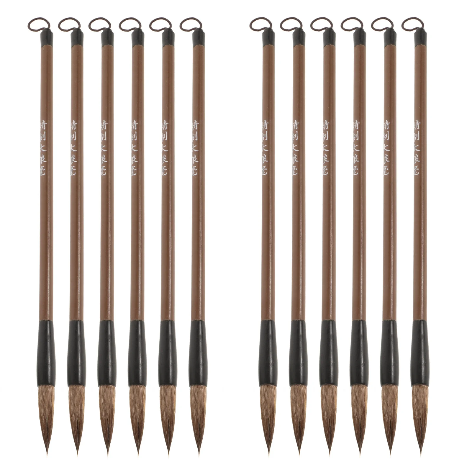 

12Pcs Chinese Calligraphy Brush Set Traditional Ink Brush Painting Writing Kit for Beginners Kids Calligraphy Pens Chinese