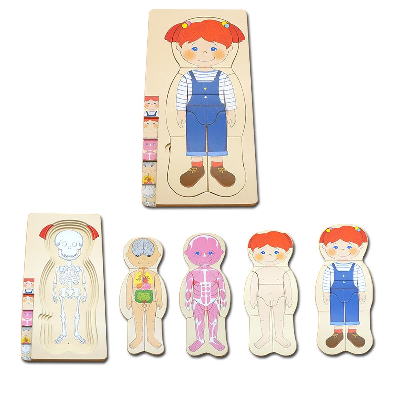 Montessori Wooden Multi-layer Puzzle Human Body Jigsaw Game Boys Girls Body Structure Early Educational Toys For Children Kids