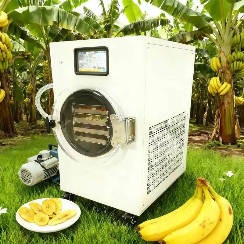 Mini Lyophilizer Home Use, Quick-Freeze Dryer For Vegetables And Herbs