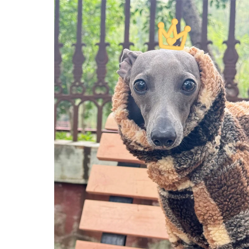 Doppelseitige Samt Whippet Berlington Terrier Hundekleidung Rollkragen-Hundemantel Winddichte Kleidung Warme Jacke für Italien-Windhund – Detail 3