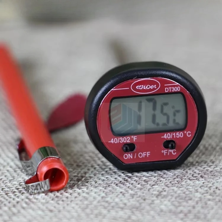 

DT300 Electronic Thermometer with Probe Thermometer