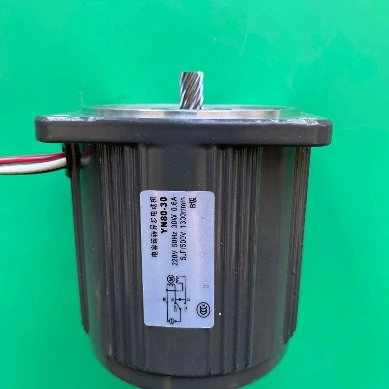 YN80-30-220V damping motor