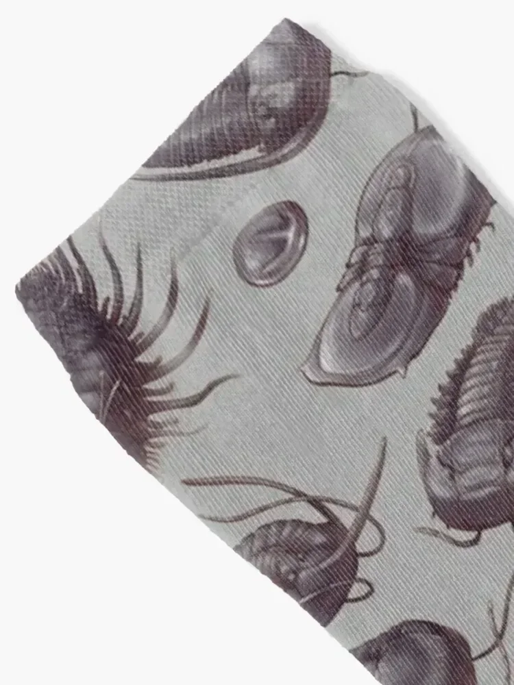 Trilobite Fossils Socks professional running snow short Stockings compression Luxury Woman Socks Men's