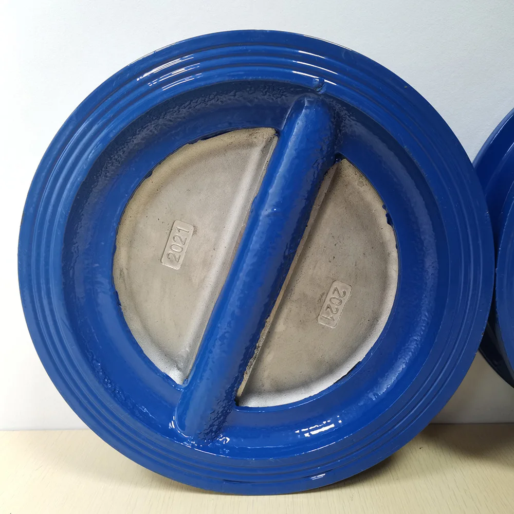 

16bar 8 inch dual plate SS304 disc cast iron wafer Check Valve