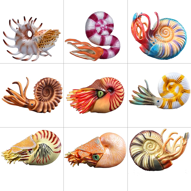 Nautilus ammonoid ตุ๊กตาพลาสติกรูป-สนุกเล่นเพื่อการศึกษาของเล่นสําหรับ Boys,Girls & Kids อายุ 18M + Naautilus