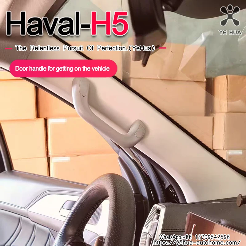 

Для GWM Haval H5 2024 2025+ — Модификация дверных порогов (A-стойка, B-стойка) с ручкой-поручнем