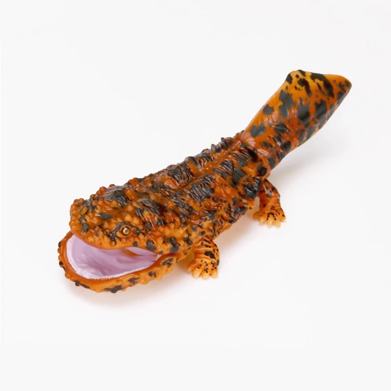 BANDAI Ambystoma Mexicanum Biology Illustrated Guide Cynops Chinese Giant Salamander Gashapon Active Joint Figure Model Toys