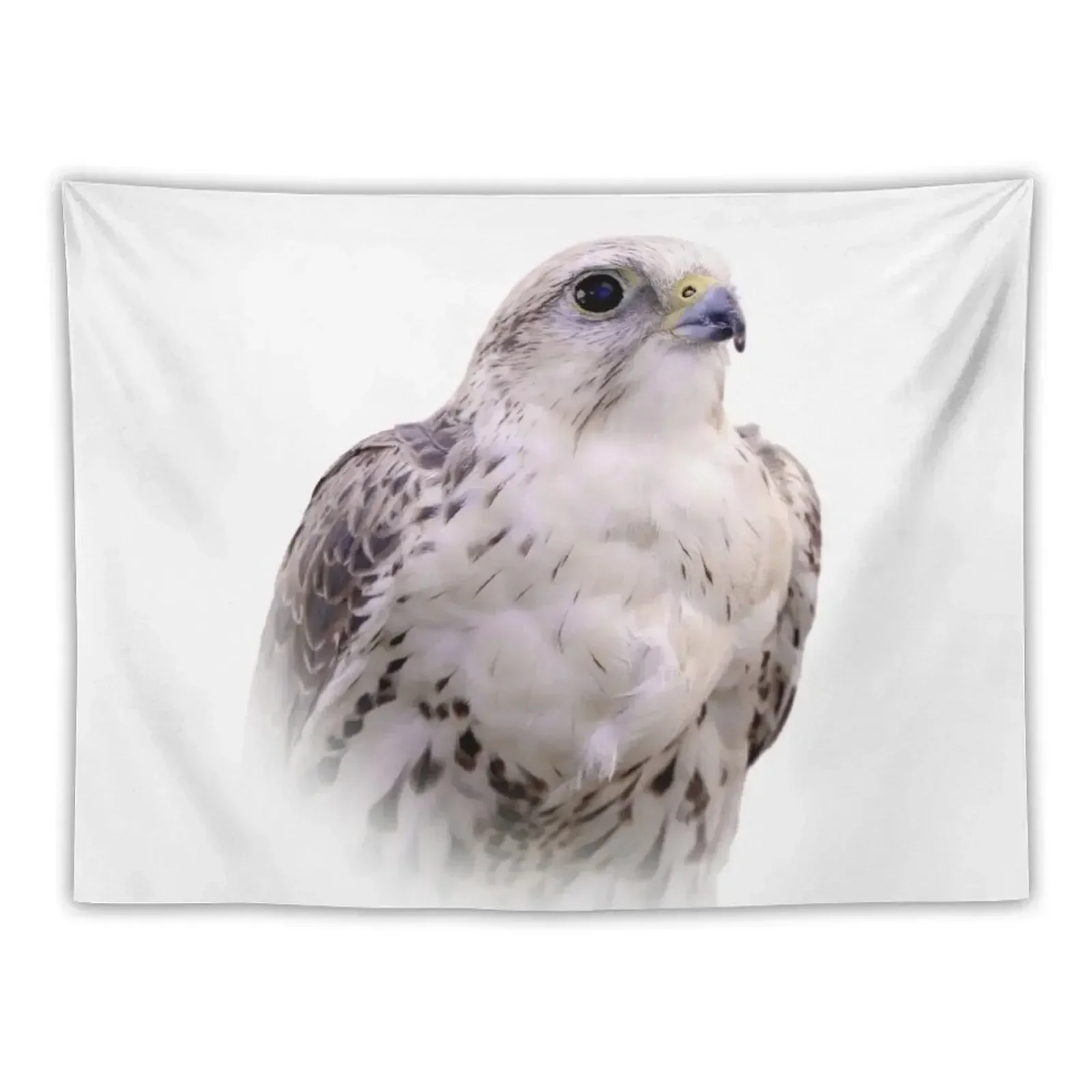 

Up Close and Personal with a Stunning Saker Falcon Tapestry Wall Hanging Wall Funny House Decoration Decoration Room Tapestry