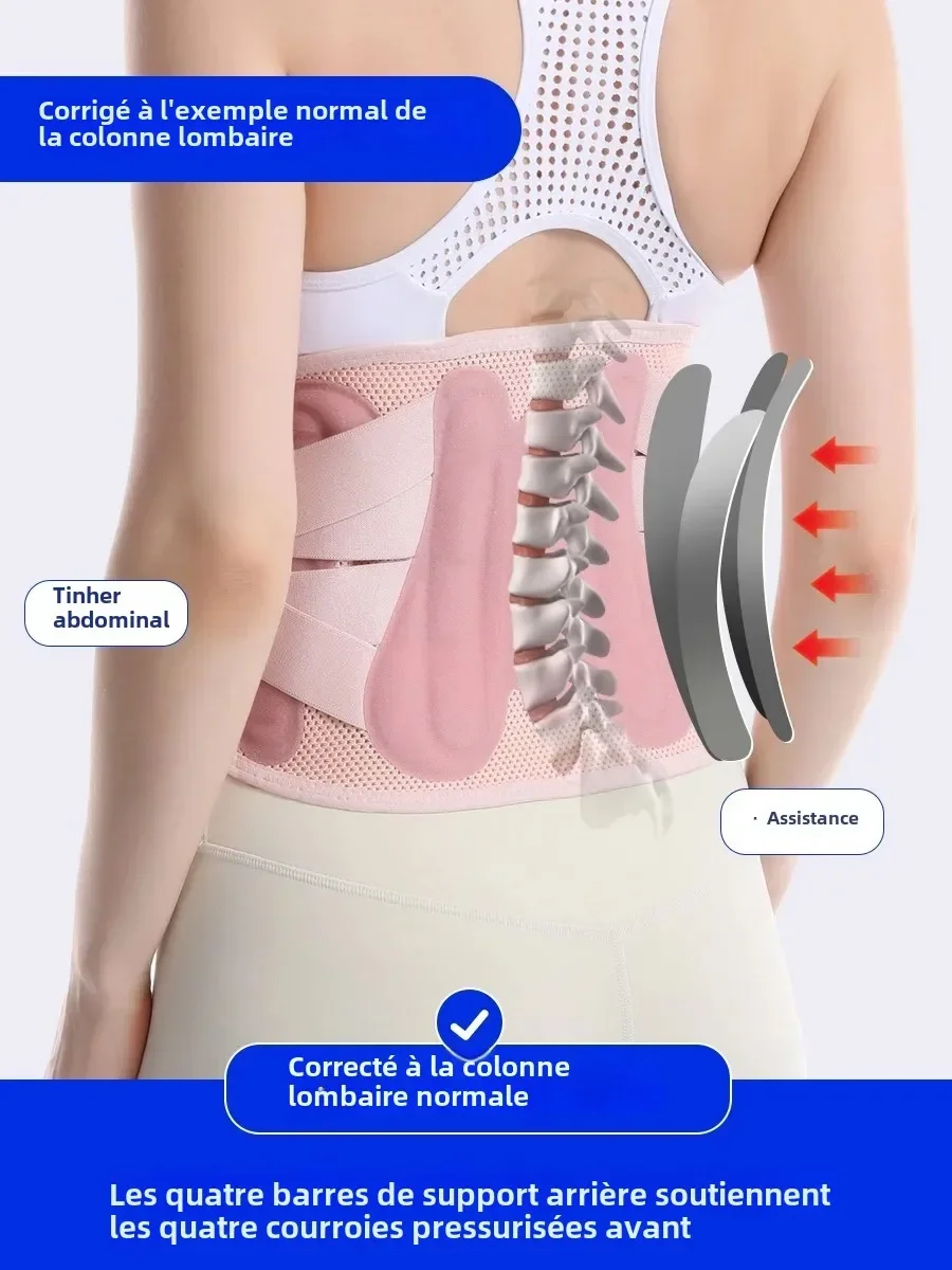 

Adjustable Back Support Belt Lumbar Support Breathable Lower Back Brace for Sciatica Scoliosis Herniated Disc Sciatica