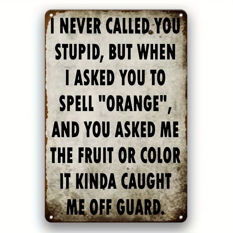 Vintage 2D Flat Metal Wall Sign I Never Called You Stupid Farmhouse Decor For Bar Garage Man Cave Easy Hanging Gift