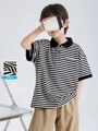 Black stripe