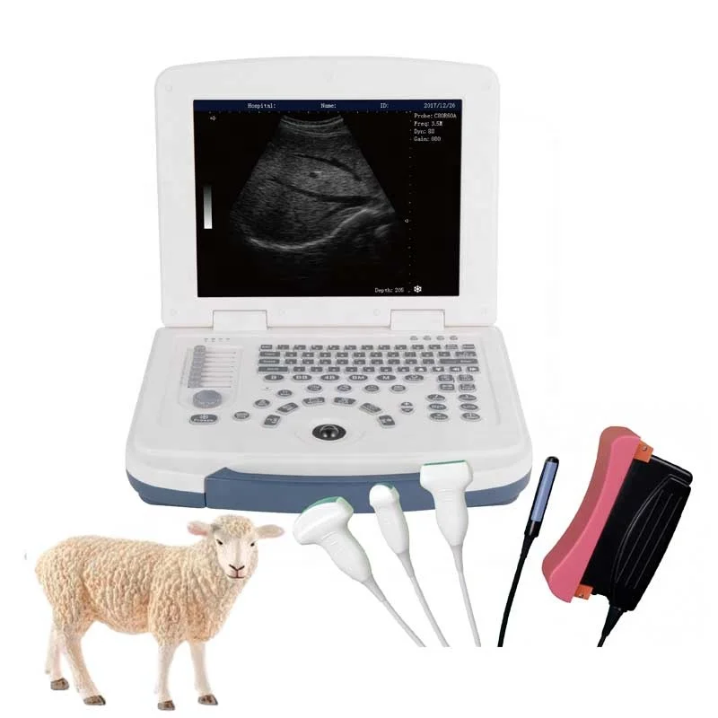 Dawei Veterinary Pet Swine Ultrasound Machine Sheep Scanner for Sale