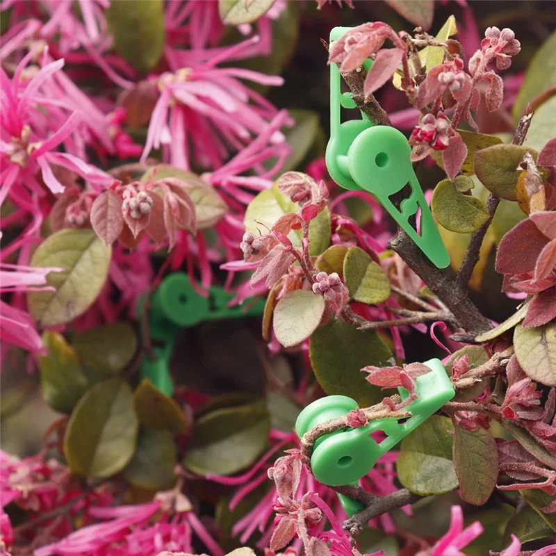 

A96I-30 шт. регулируемые на 360 градусов зажимы для растений, ветки растений, гибки, зажимы для тренировок по низким стрессом, простые в использовании, зеленые