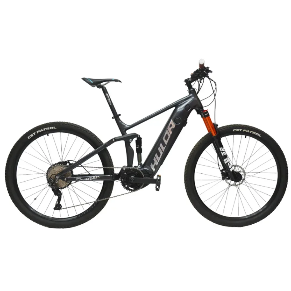 New 29 inch 10 speed aluminum alloy electric mountain bike 250w/48V, speed 30-50km/h, torque 50-50Nm, charging time shortened