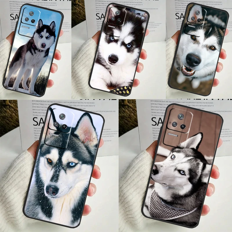 Чехол с изображением щенка Хаски для Xiaomi 14 13 Ultra 12 Lite 11T 12T 13T Pro POCO M6 X3 X5 X6 Pro F3 F5 M5s, чехол Чехол с изображением щенка Хаски для Xiaomi 14 13 Ultra 12 Lite 11T 12T 13T Pro POCO M6 X3 X5 X6 Pro F3 F5 M5s, чехол