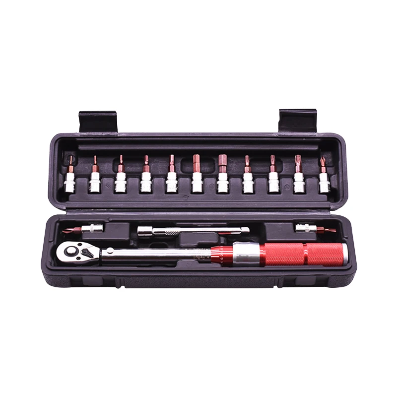 

1/4" Drive Torque Wrench Set 2-24Nm for Bike Bicycle, 15PC Hex & Torx Bit Sockets Kit with Extension Bar, Professional Tools