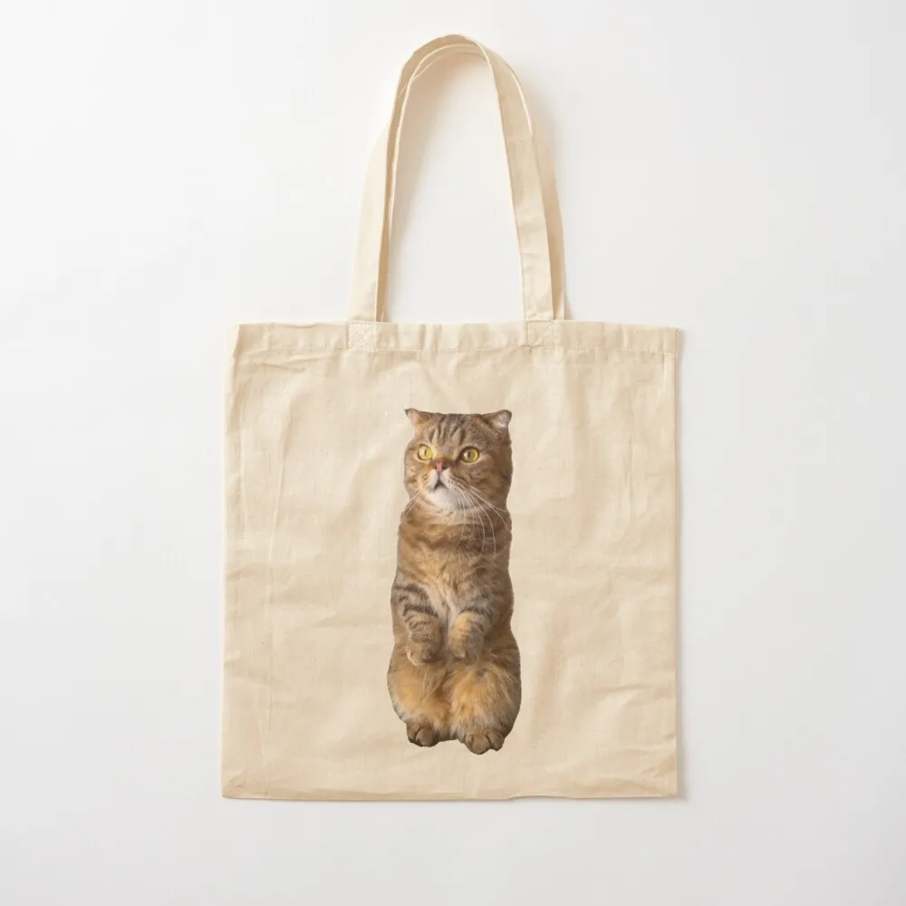 

Cute LuLu standing ( Kittisaurus ) Tote Bag shopper bags Woman shopper bag