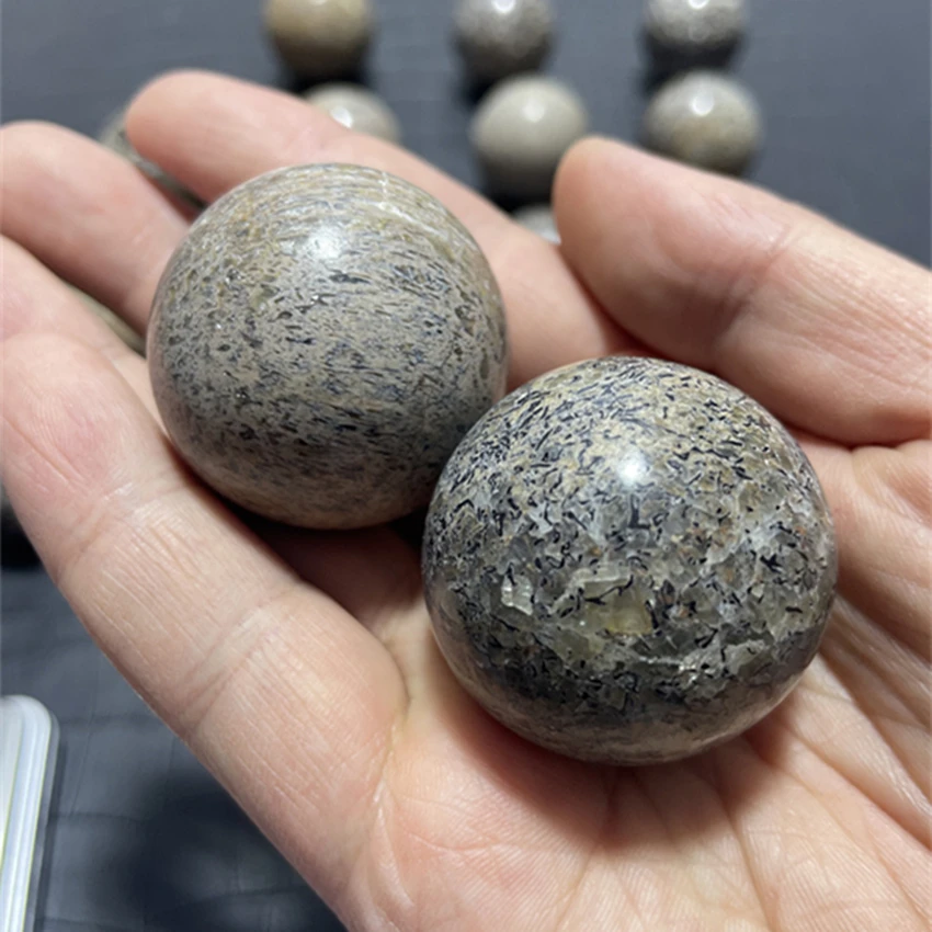 Dinosaur Bone  Ball Natural Stone Sphere Smooth Polished Pebble Reiki Healing Chakra Stone Home Decoration