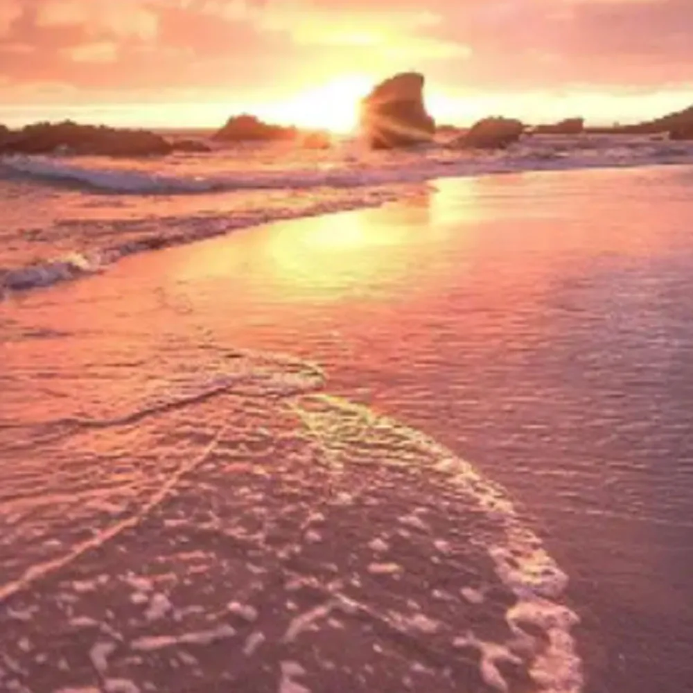 

Original Paper Feed Sensor for Epson L4158 L4168 L4151 L4153 L4165 L4160 L4170 L6178 L6168 printer Sensor unit