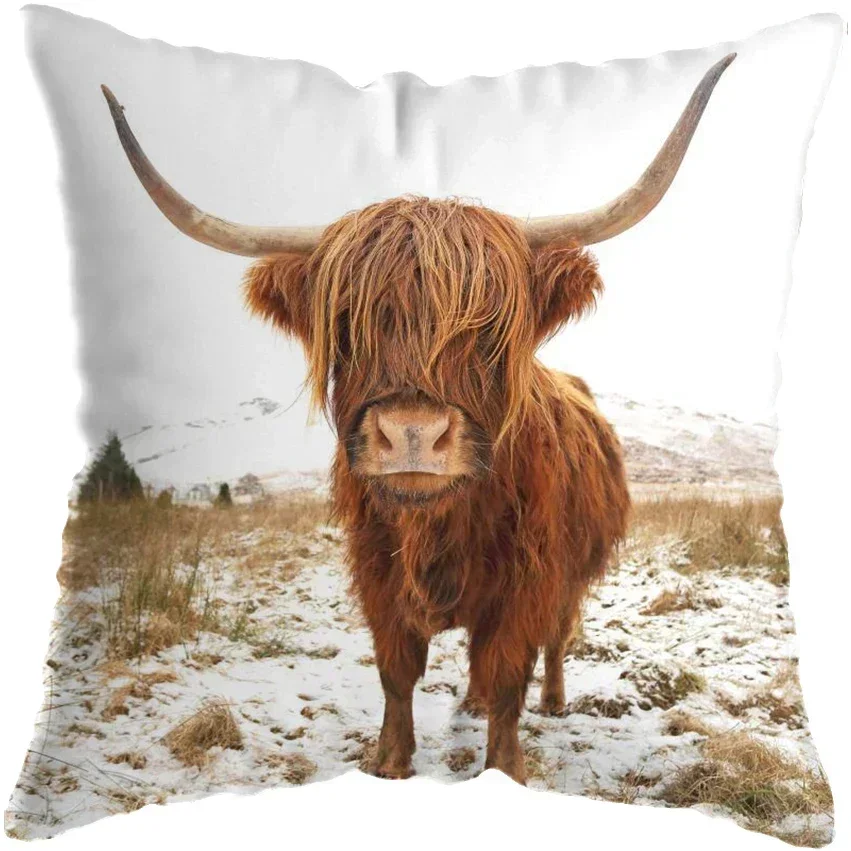 45x45cm Scottish Highland Cat Cow Yak Animal Print Pillowcase For Home Decor Cushion Cover Sofa Decoration Pillow Case