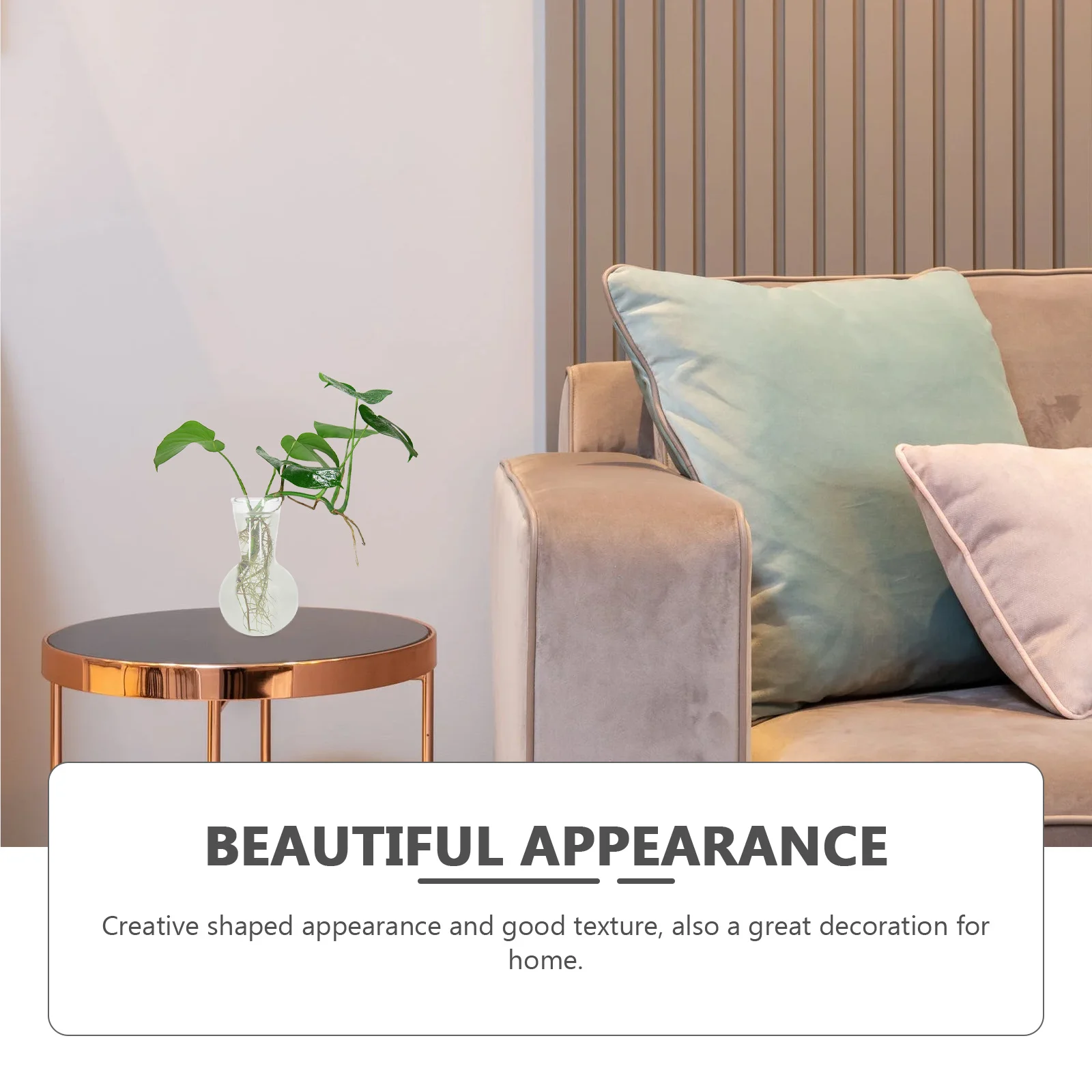 

2Pcs Hydroponic Glass Bulb Vase Plant Planter Flowerpot Durable Home Terrarium Hydroponic Flower Vase Glass Planter