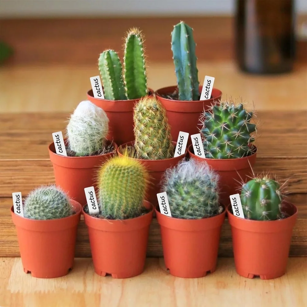 Small Plant Pots Planting Containers Plant Propagation Recycled Plastic Includes 100 Plant Labels Lightweight Design