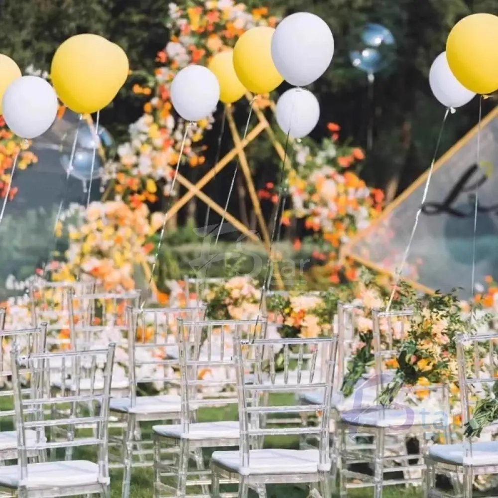 New Style Used Resin Wedding Rental Phoenix Chair for Wedding
