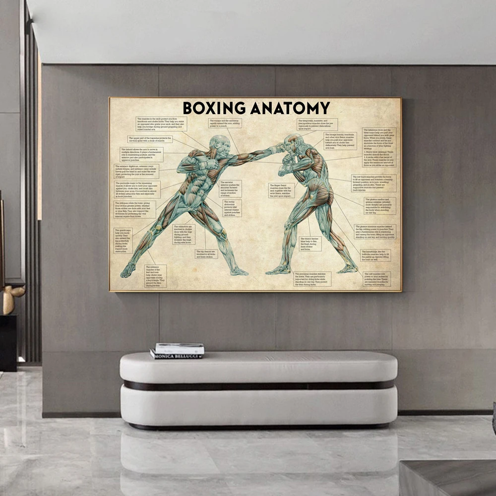 

Fitness Vintage Boxing Body Anatomy Knowledge Poster Print Canvas Painting Wall Art Retro Chart Picture for Gym Room Home Decor