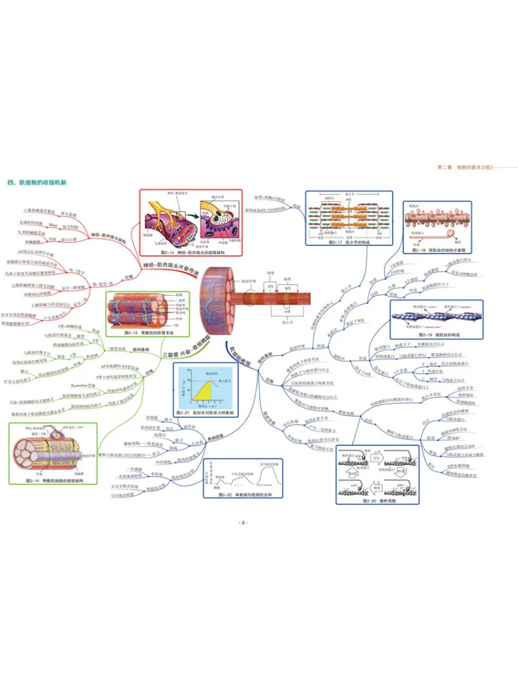 Book-Winshare Physiology Mind Map