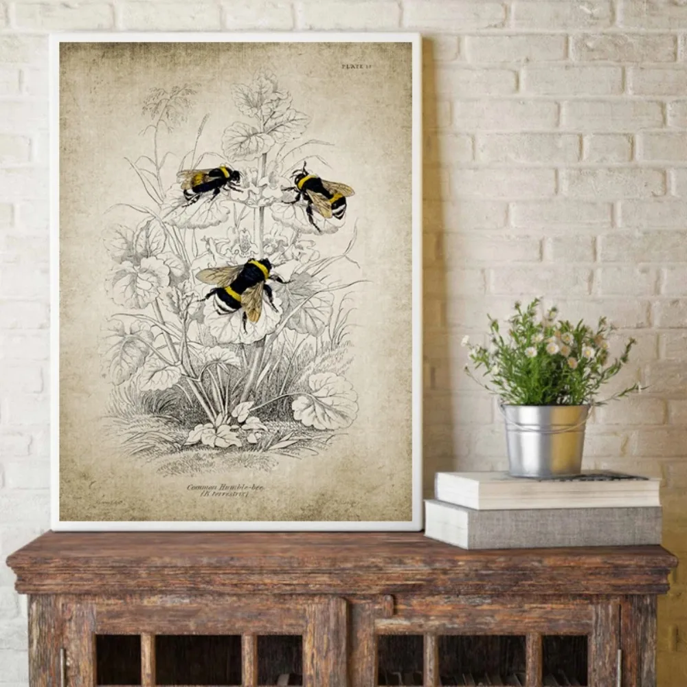 Vintage Bees Poster Bumblebees Flies Print Insect Illustration  Entomology Wall Art Canvas Painting Education Science Wall Decor