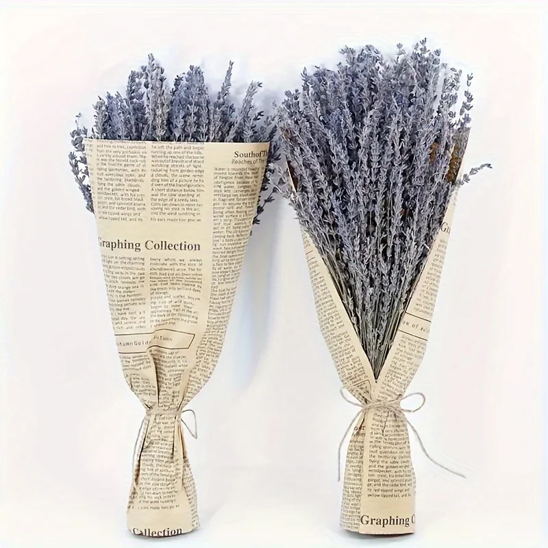 لافندر مجفف ممتاز، 42.93 سم، 100 سيقان. ديكور طبيعي للمنزل وحفلات الزفاف والهدايا. لا حاجة للطاقة.