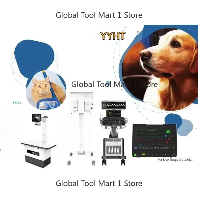 6 Chan-Nel Veteri-N…