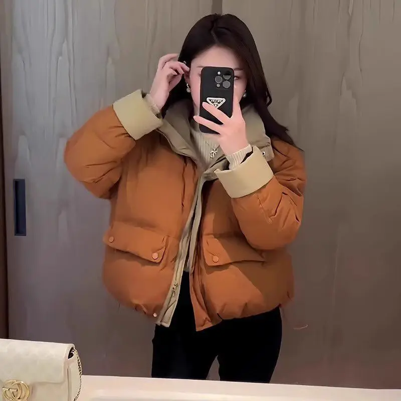 2026 Women's Fashion Winter New Korean Edition Color Block Stand Up Collar with Velvet Short Small Thick and Warm Jacket