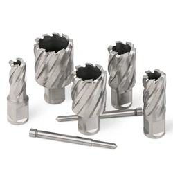 HEDA 12-60mm HSS Annular Cutter Core Drill Bit 19mm Weldon Shank Hollow Hole Saw Cutter For Metal Steel Aluminum Copper Cutting