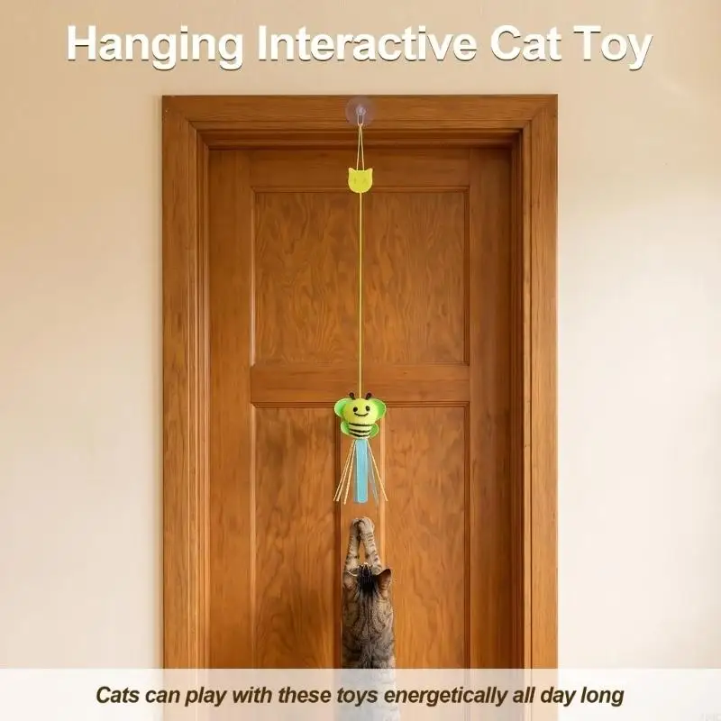 6Pack Home Felines Dangle Hanging Indoor for Doorway Motion and Play at Homes J0MC