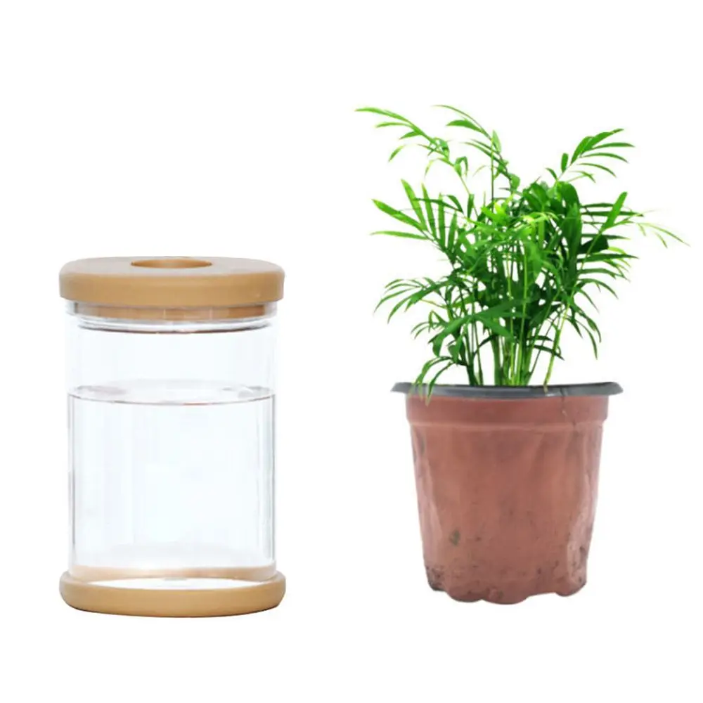 1pc Hydroponic Plant Plastic Vase Self-Absorbing Water Pot Office Tabletop Feng Shui Transparent Bottle Ornaments