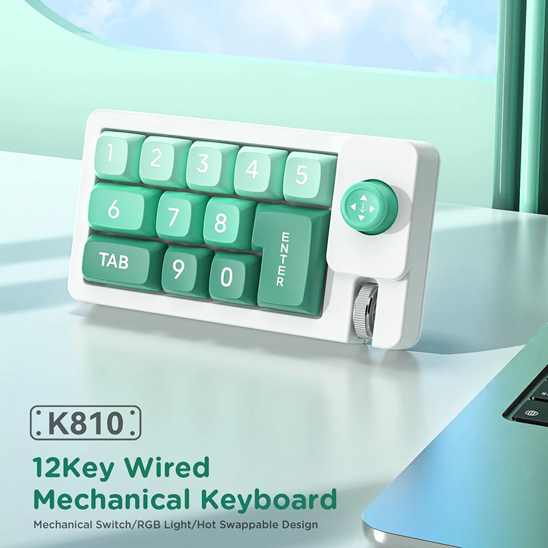12-Tasten-kundenspezifisches Makro, programmierbar, vollständig Hot-Swap-fähig, mechanischer Schalter, RGB-Licht, Numpad, Gaming-Mini-Tastatur für Mac Win