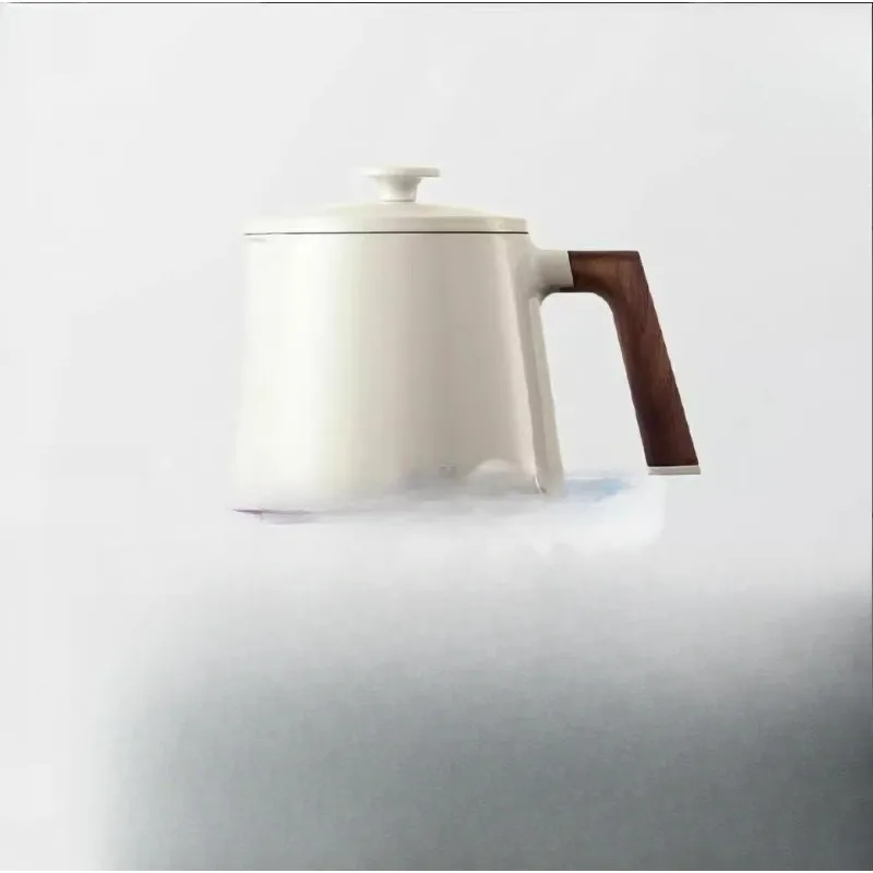 Cast iron enamel pot, multifunctional waterless cooking pot