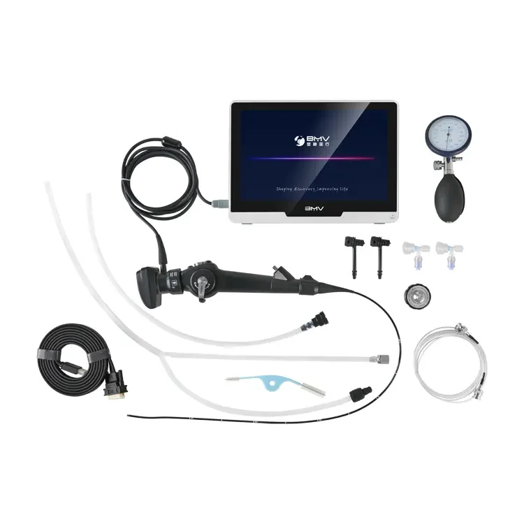 

Pet Hospital Endoscopy Machine Medical Trolley Video Endoscope Gastroscope Vet Endoscopic Imaging System