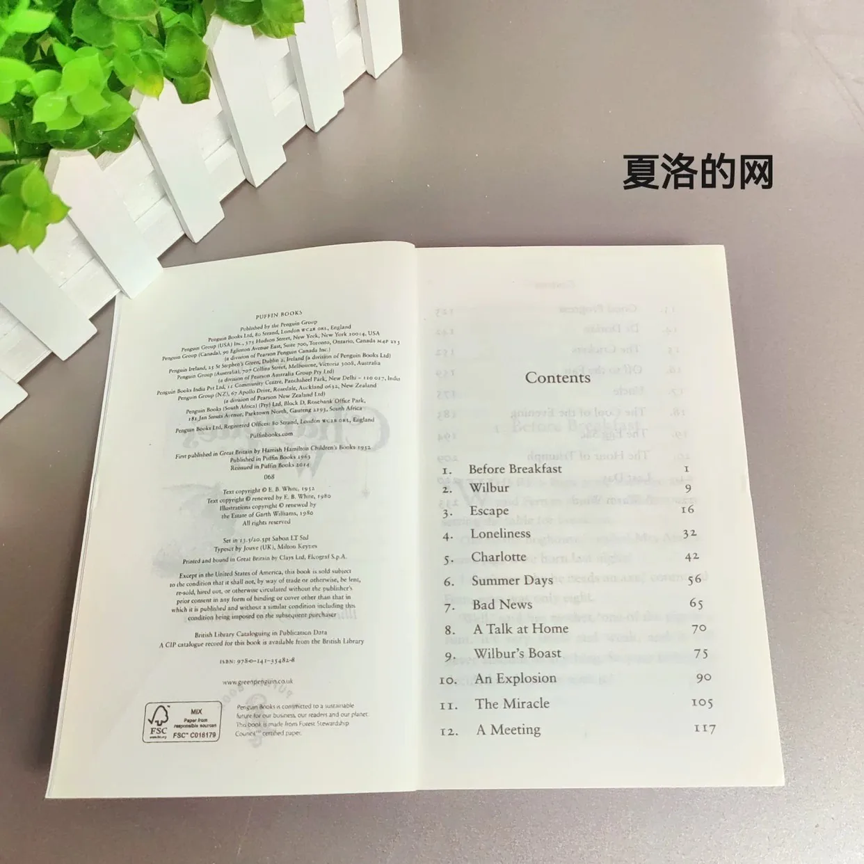 【Newbery】Charlotte's Web Englische Ausgabe