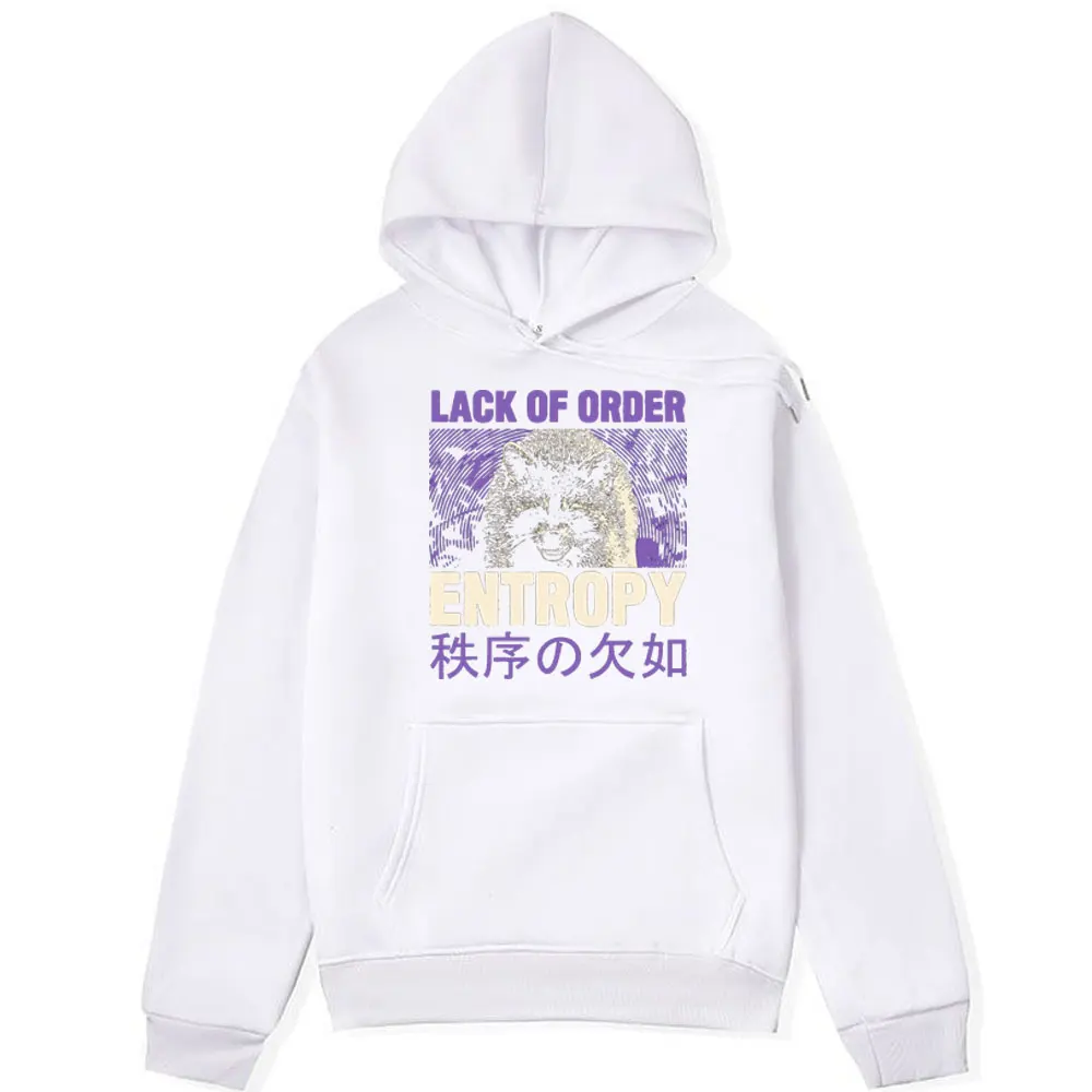 Entropy Raccoon Funny Hoodies Men Women Clothes Lack OF Order Graphic Print Sweatshirt Fashion Oversized Long Sleeve Pullover