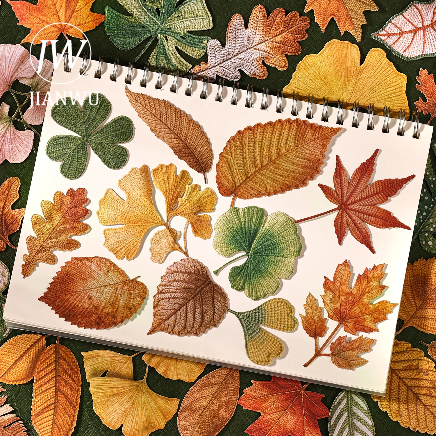 JIANWU Vintage Autumn Leaves Maple Leaf Landscape Material Collage Scrapbooking PET Sticker Creative DIY Journal Stationery