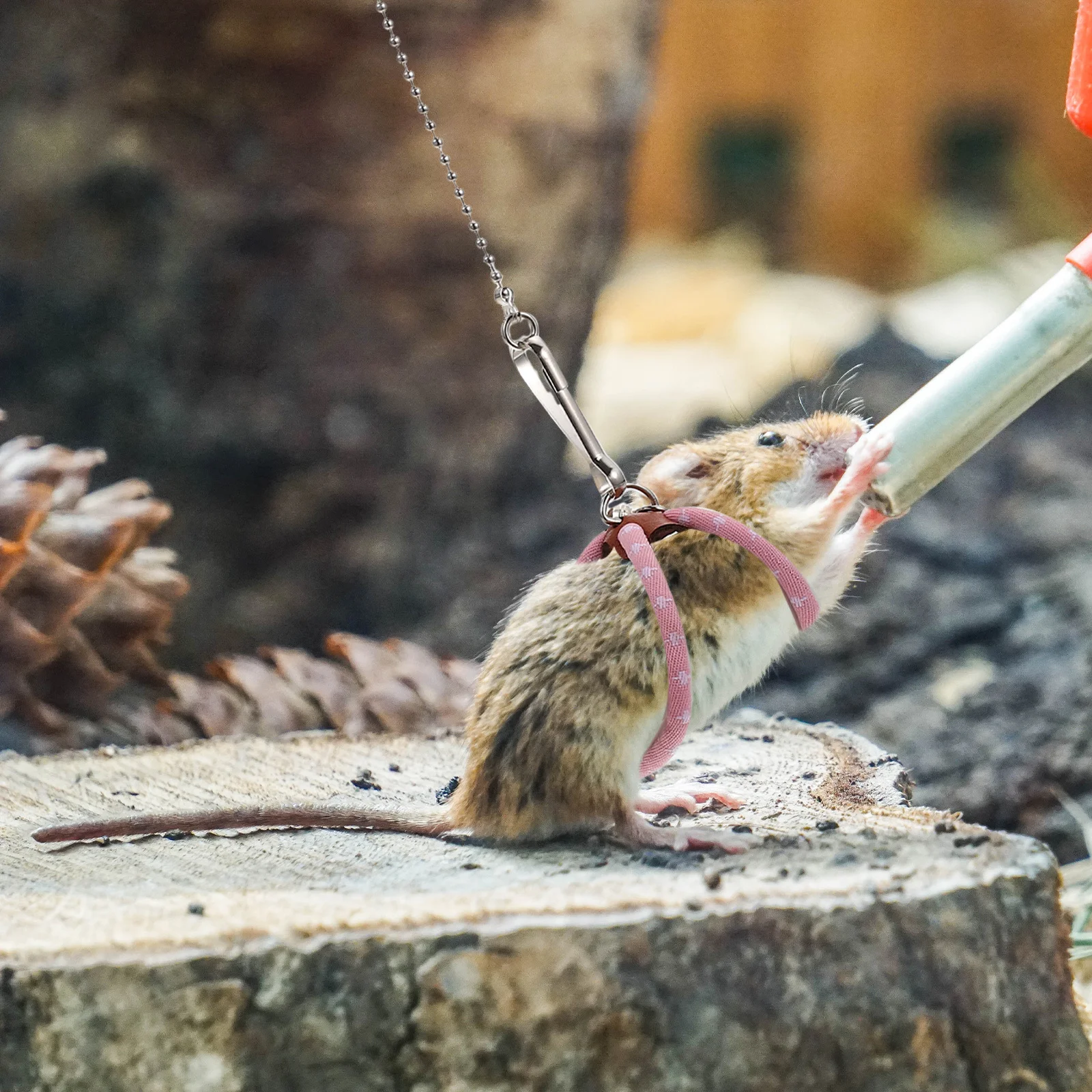 

Small Pet Leash Hamster Harness Comfortable Breathable Lightweight Outdoor Rabbit Squirrel Traction Rope Guinea Pig Walking