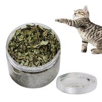 Natural Catnip Organic Premium Catmint Cat Toy Nepeta Cataria For Eliminating Cats Hairballs Absorbing Foods Vitamin Supplement