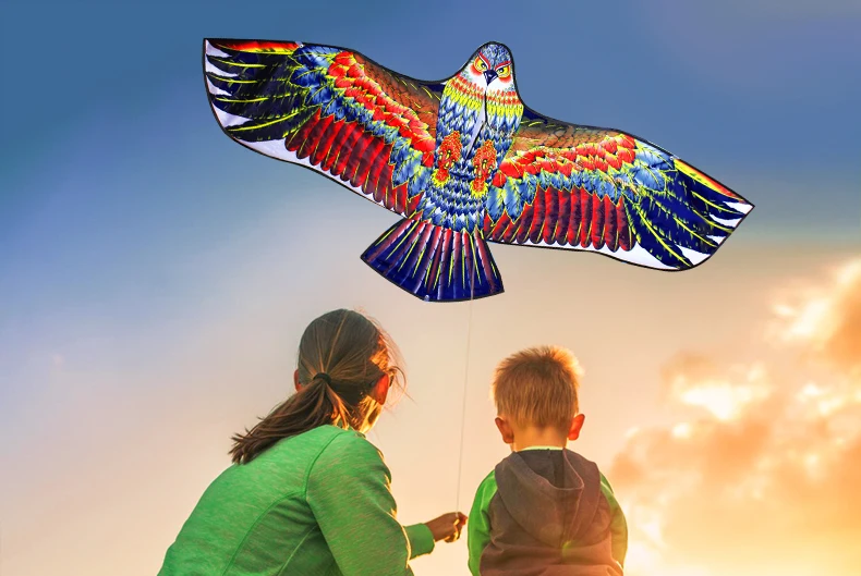 NEW Arrive Outdoor Fun Sports 1.6m Eagle Kite With Handle And Line Good Flying