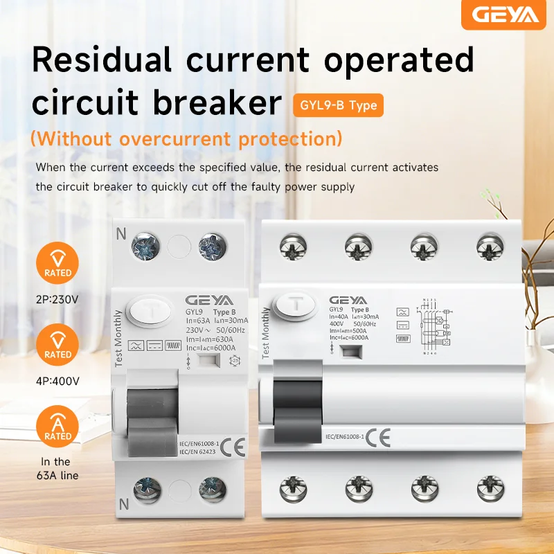 GEYA GYL9 TYPE B RCD RCCB Din Rail Earth Leakage Current Breaker DC 2Pole 40A 63A 30mA 100mA 300mA 6KA Diret Current (6mA)